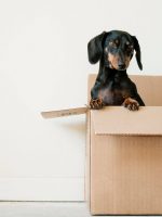 erda-estremera-581452-unsplash.jpg erda-estremera-581452-unsplash.jpg