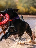 patrick-hendry-406636-unsplash.jpg patrick-hendry-406636-unsplash.jpg