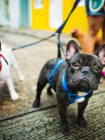 rawpixel-743116-unsplash.jpg rawpixel-743116-unsplash.jpg