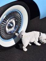 terry-jaskiw-382692-unsplash.jpg terry-jaskiw-382692-unsplash.jpg